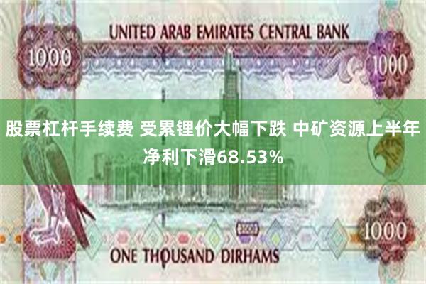 股票杠杆手续费 受累锂价大幅下跌 中矿资源上半年净利下滑68.53%