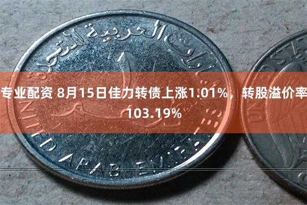 专业配资 8月15日佳力转债上涨1.01%，转股溢价率103.19%
