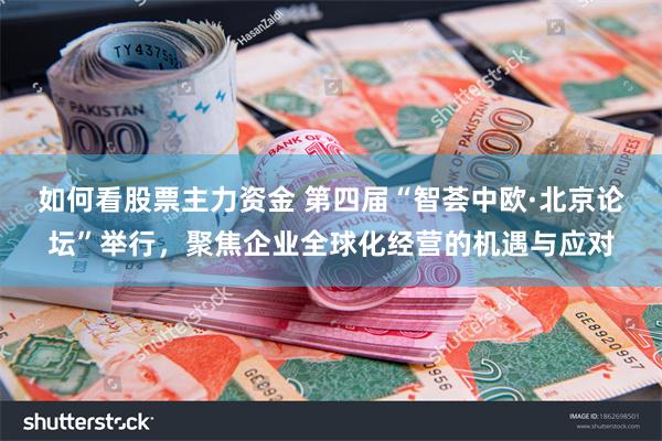 如何看股票主力资金 第四届“智荟中欧·北京论坛”举行，聚焦企业全球化经营的机遇与应对