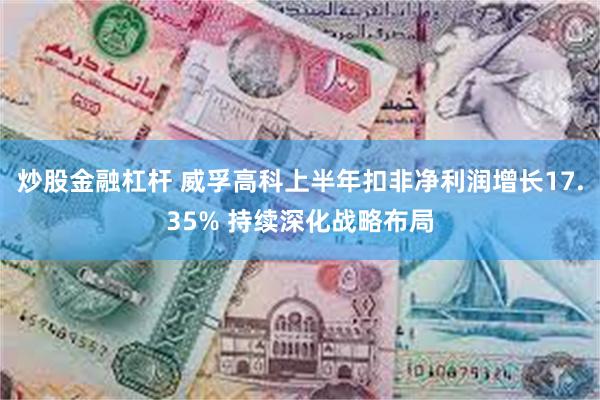 炒股金融杠杆 威孚高科上半年扣非净利润增长17.35% 持续深化战略布局