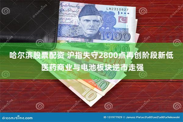 哈尔滨股票配资 沪指失守2800点再创阶段新低 医药商业与电池板块逆市走强