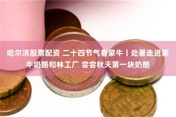 哈尔滨股票配资 二十四节气看蒙牛丨处暑走进蒙牛奶酪和林工厂 尝尝秋天第一块奶酪