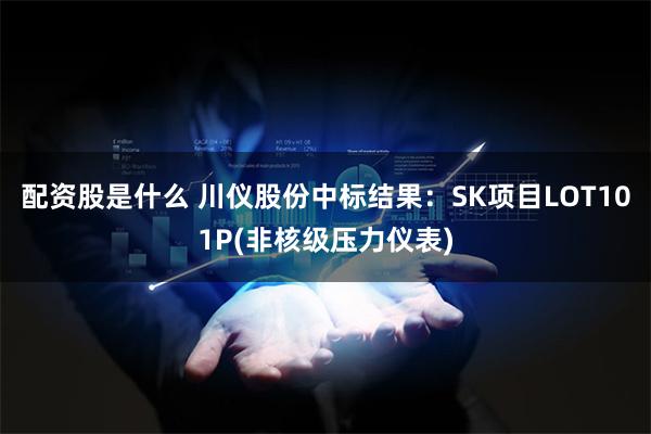 配资股是什么 川仪股份中标结果：SK项目LOT101P(非核级压力仪表)