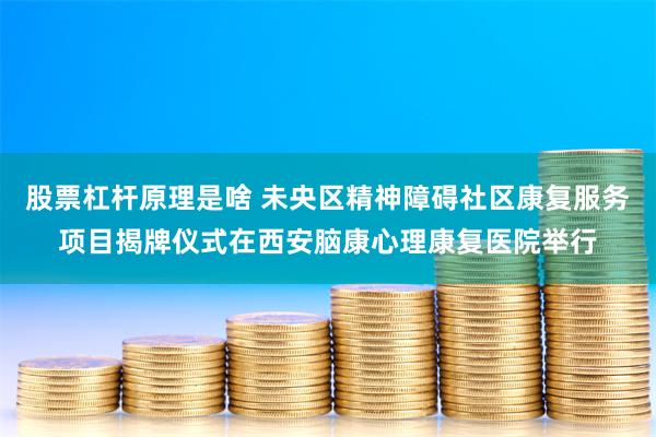 股票杠杆原理是啥 未央区精神障碍社区康复服务项目揭牌仪式在西安脑康心理康复医院举行