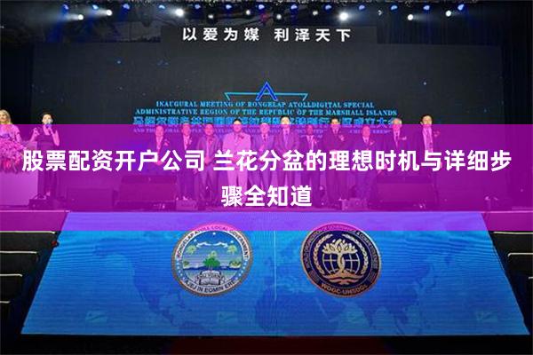股票配资开户公司 兰花分盆的理想时机与详细步骤全知道