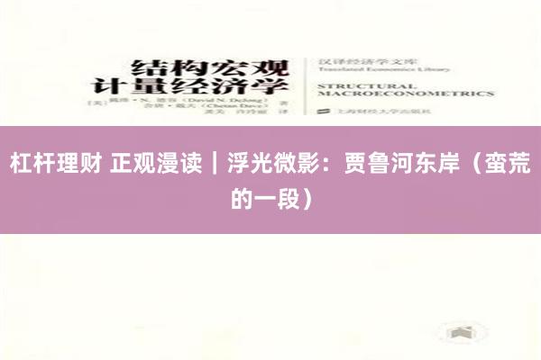 杠杆理财 正观漫读｜浮光微影：贾鲁河东岸（蛮荒的一段）