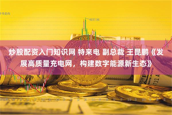 炒股配资入门知识网 特来电 副总裁 王昆鹏《发展高质量充电网，构建数字能源新生态》