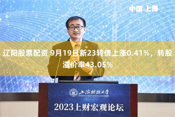 辽阳股票配资 9月19日新23转债上涨0.41%，转股溢价率43.05%