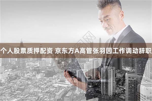 个人股票质押配资 京东方A高管张羽因工作调动辞职