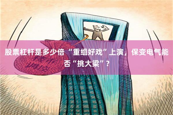股票杠杆是多少倍 “重组好戏”上演，保变电气能否“挑大梁”？