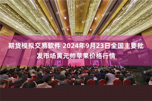 期货模拟交易软件 2024年9月23日全国主要批发市场黄元帅苹果价格行情