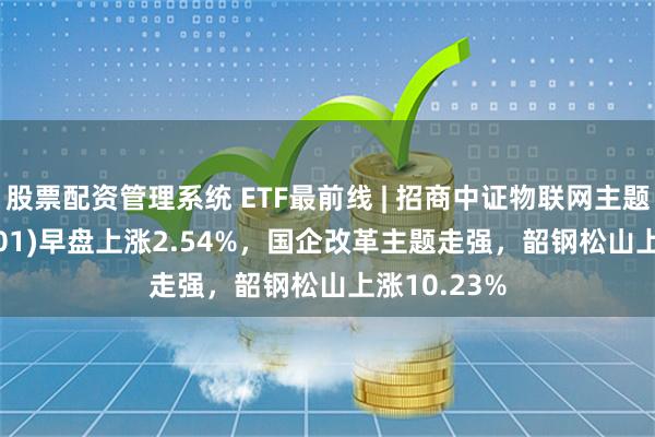 股票配资管理系统 ETF最前线 | 招商中证物联网主题ETF(159701)早盘上涨2.54%，国企改革主题走强，韶钢松山上涨10.23%