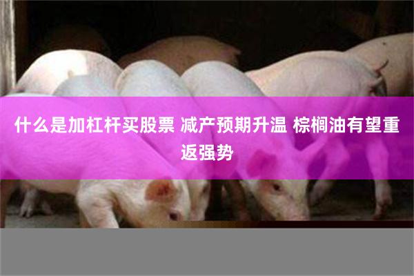 什么是加杠杆买股票 减产预期升温 棕榈油有望重返强势