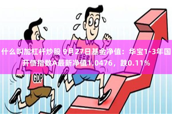 什么叫加杠杆炒股 9月27日基金净值：华宝1-3年国开债指数A最新净值1.0476，跌0.11%