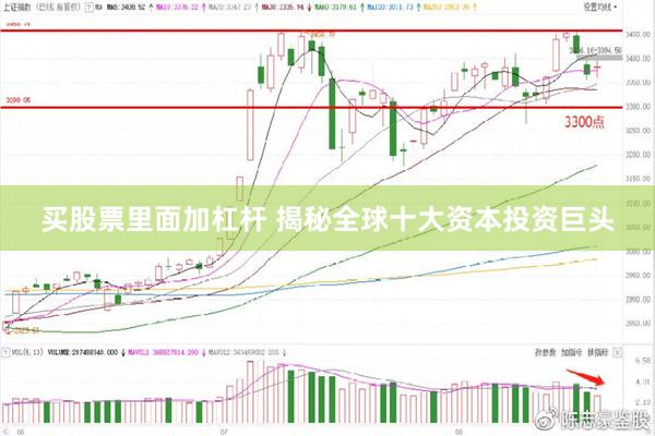 买股票里面加杠杆 揭秘全球十大资本投资巨头