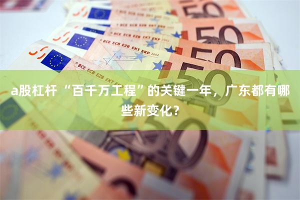 a股杠杆 “百千万工程”的关键一年，广东都有哪些新变化？