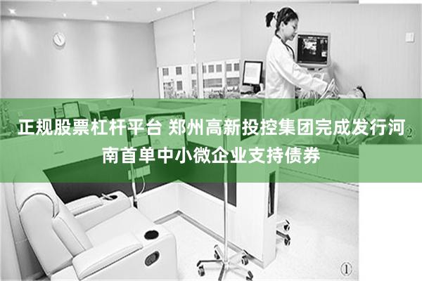 正规股票杠杆平台 郑州高新投控集团完成发行河南首单中小微企业支持债券