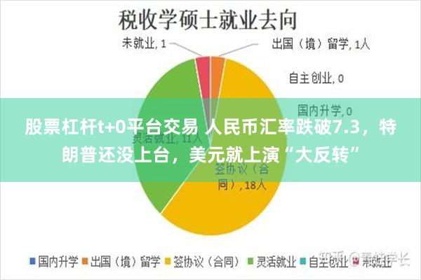 股票杠杆t+0平台交易 人民币汇率跌破7.3，特朗普还没上台，美元就上演“大反转”
