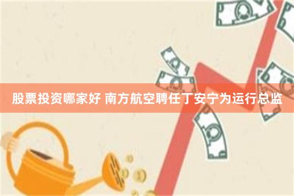 股票投资哪家好 南方航空聘任丁安宁为运行总监