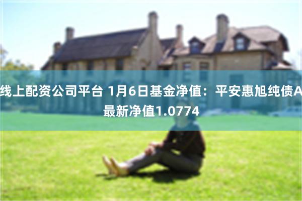 线上配资公司平台 1月6日基金净值：平安惠旭纯债A最新净值1.0774