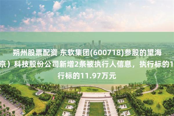 朔州股票配资 东软集团(600718)参股的望海康信（北京）科技股份公司新增2条被执行人信息，执行标的11.97万元