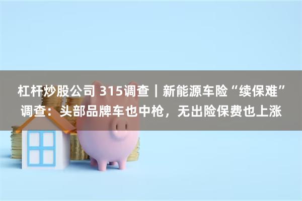 杠杆炒股公司 315调查｜新能源车险“续保难”调查：头部品牌车也中枪，无出险保费也上涨