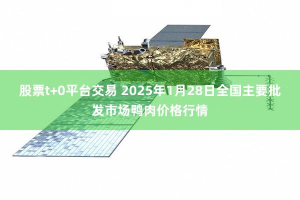 股票t+0平台交易 2025年1月28日全国主要批发市场鸭肉价格行情