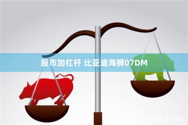 股市加杠杆 比亚迪海狮07DM