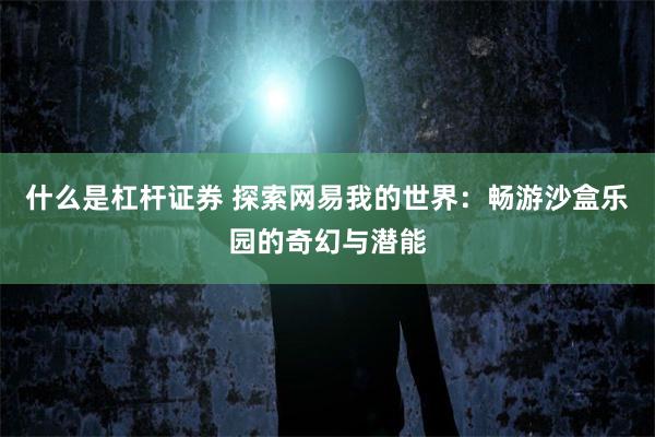 什么是杠杆证券 探索网易我的世界：畅游沙盒乐园的奇幻与潜能
