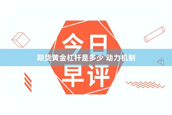 期货黄金杠杆是多少 动力机制