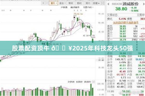 股票配资顶牛 🔥2025年科技龙头50强