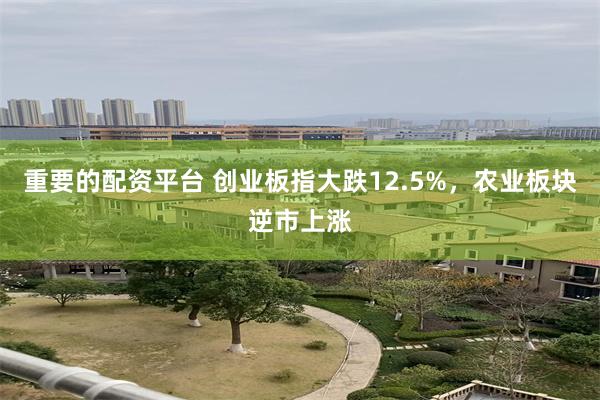 重要的配资平台 创业板指大跌12.5%，农业板块逆市上涨