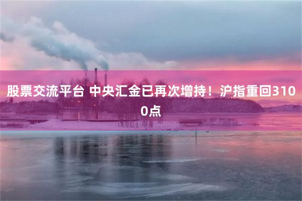 股票交流平台 中央汇金已再次增持！沪指重回3100点