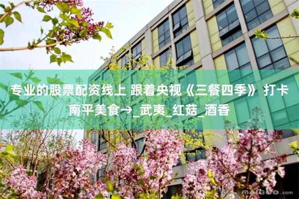 专业的股票配资线上 跟着央视《三餐四季》 打卡南平美食→_武夷_红菇_酒香