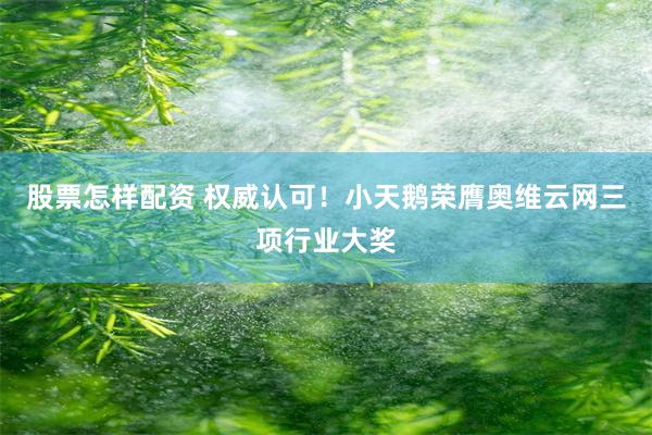股票怎样配资 权威认可！小天鹅荣膺奥维云网三项行业大奖
