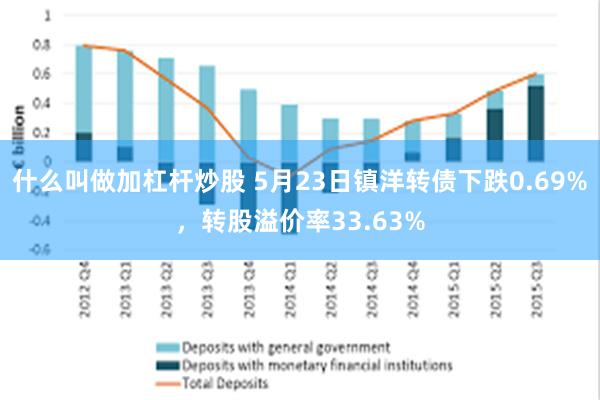 什么叫做加杠杆炒股 5月23日镇洋转债下跌0.69%，转股溢价率33.63%