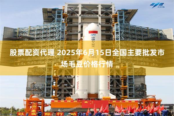 股票配资代理 2025年6月15日全国主要批发市场毛豆价格行情