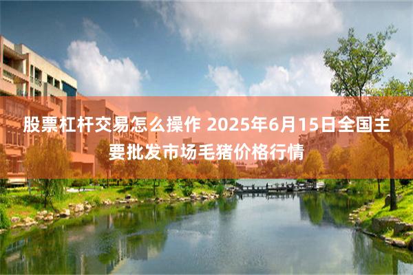 股票杠杆交易怎么操作 2025年6月15日全国主要批发市场毛猪价格行情