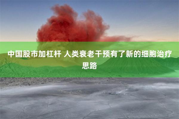 中国股市加杠杆 人类衰老干预有了新的细胞治疗思路