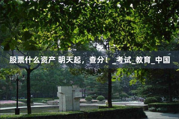 股票什么资产 明天起，查分！_考试_教育_中国